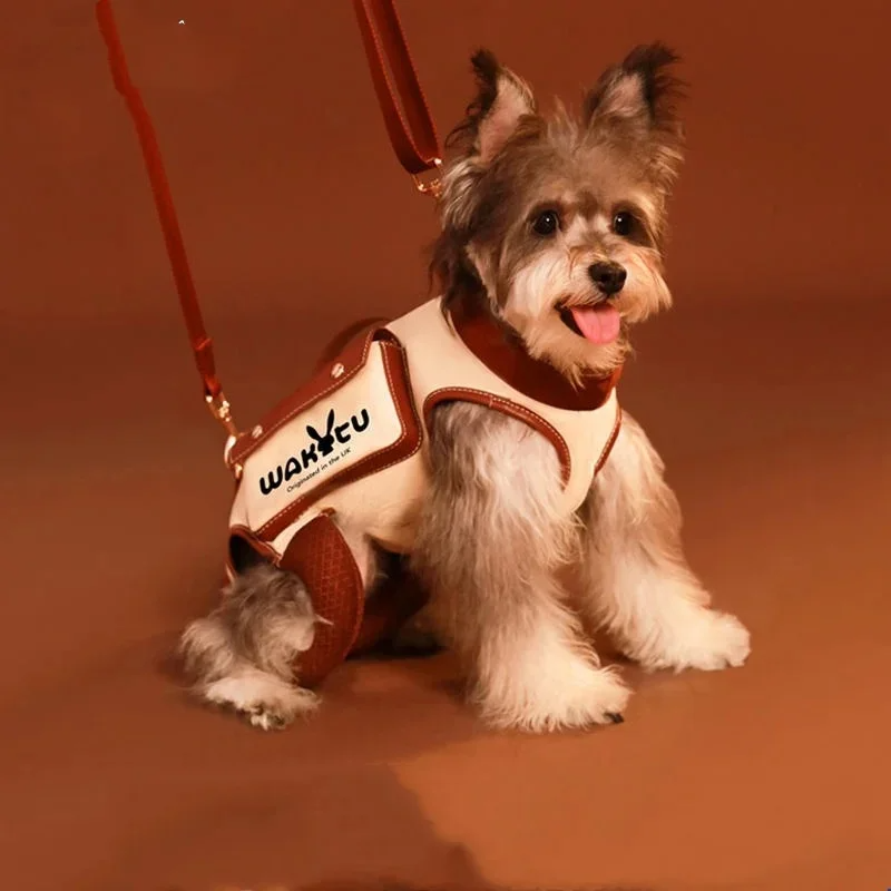 Backpack Carrier with Lift Support Leash for Pets – LiftEase™