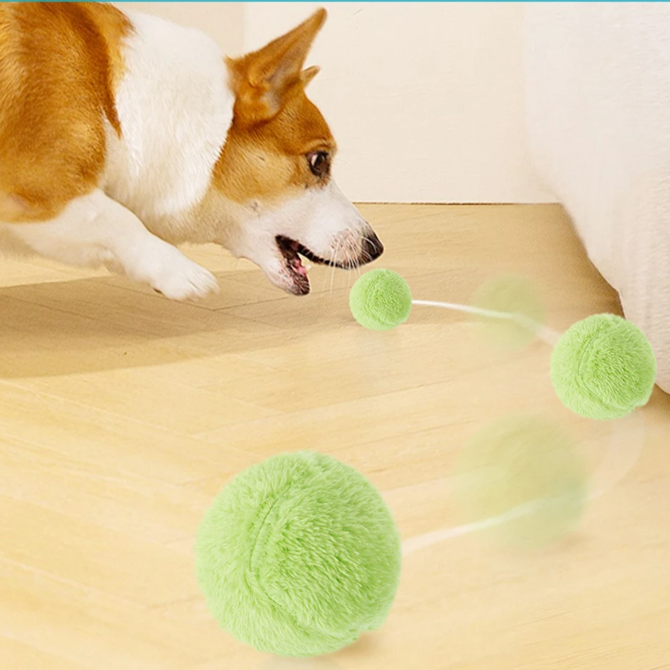 Automatic Rolling Pet Ball Toy with 4 Plush Covers – RolliPaw™