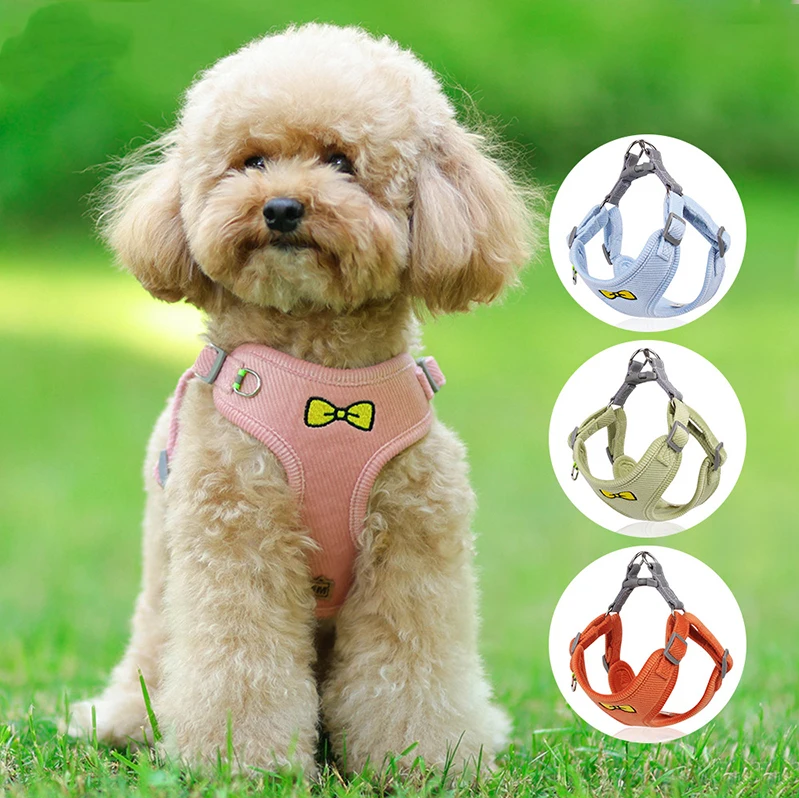 Velvet Collar & Leash Set for Small to Medium Dogs – PlushLead™