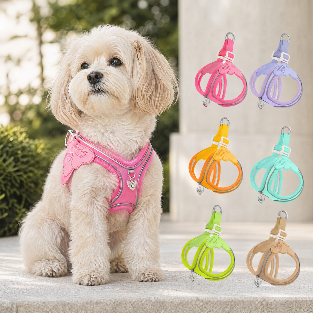Pet Collar & Leash Set – Waterproof Reflective Nylon – Trotta™