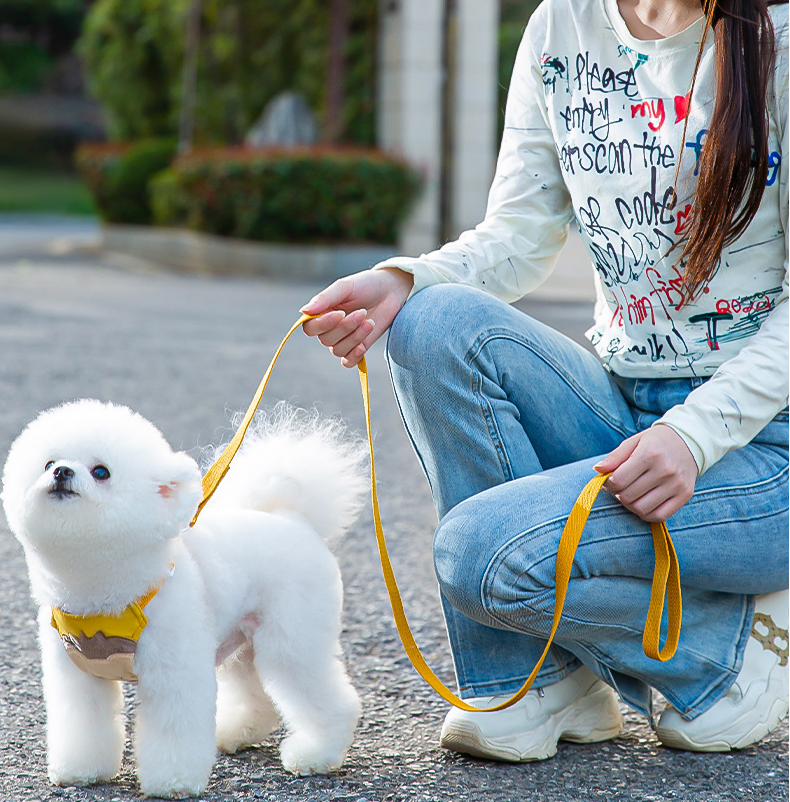 Adjustable Dog & Cat Collar and Leash Set with Lion & Bear Print – LoopLead™