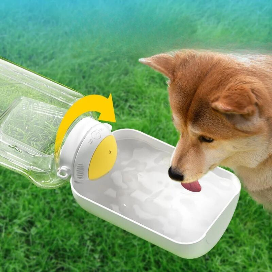 Portable Pet Water & Food Bottle – Hydraw™