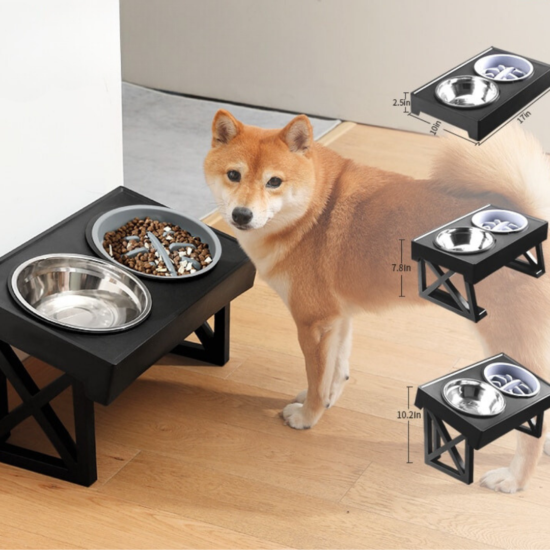 Elevated Adjustable-Height Pet Bowl with Slow Feeder – Bowdeck™