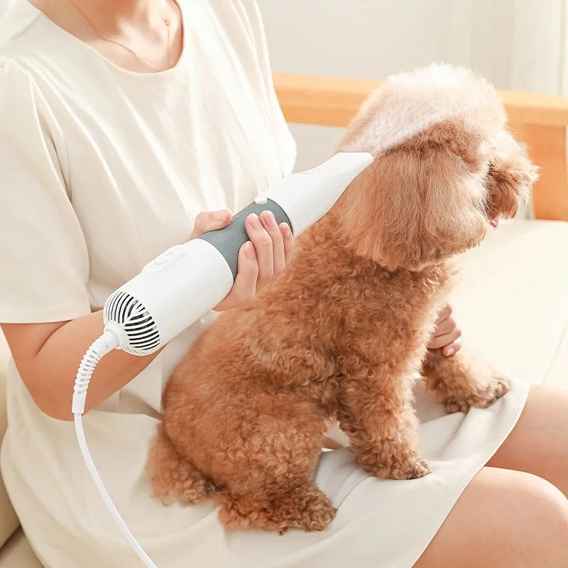 3-in-1 Pet Hair Dryer with Interchangeable Brush Heads – Drynn™