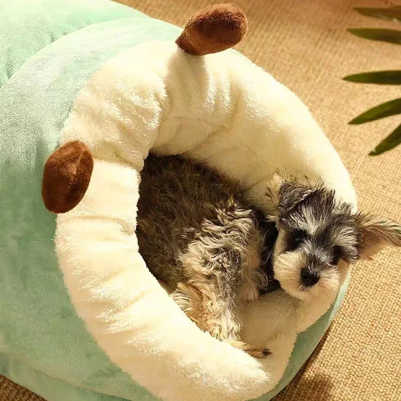 Cotton Slipper Pet Bed for Small & Medium Dogs and Cats – SnugStep™