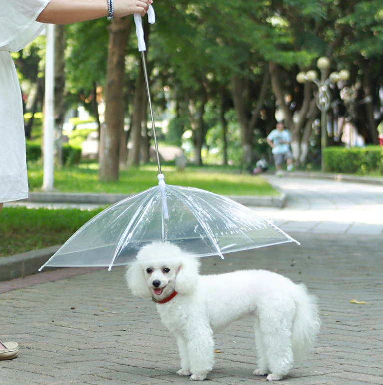 Clear Umbrella Pet Leash for Rain Protection Walks – RainWalk™