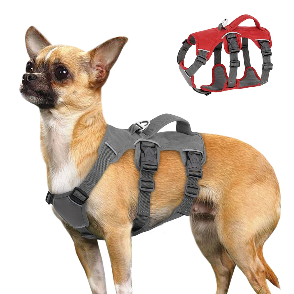 Padded Adjustable Chest Harness for Medium & Large Pets – Vorn™