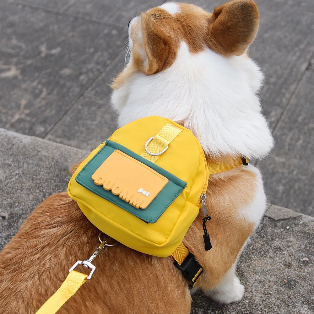 Backpack-Style Collar & Leash Set for Medium to Large Dogs – Wagport™