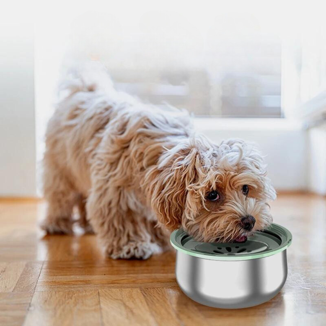Anti-Splash Stainless Steel Floating Pet Bowl, 4L Capacity – Calmora™