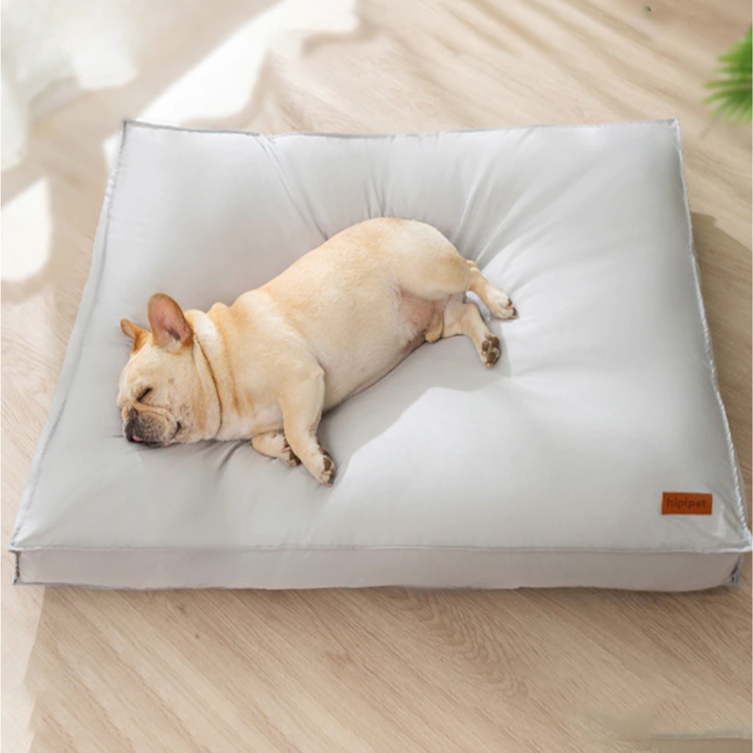 Waterproof Pet Mattress Bed with Removable Washable Cover – Flix™