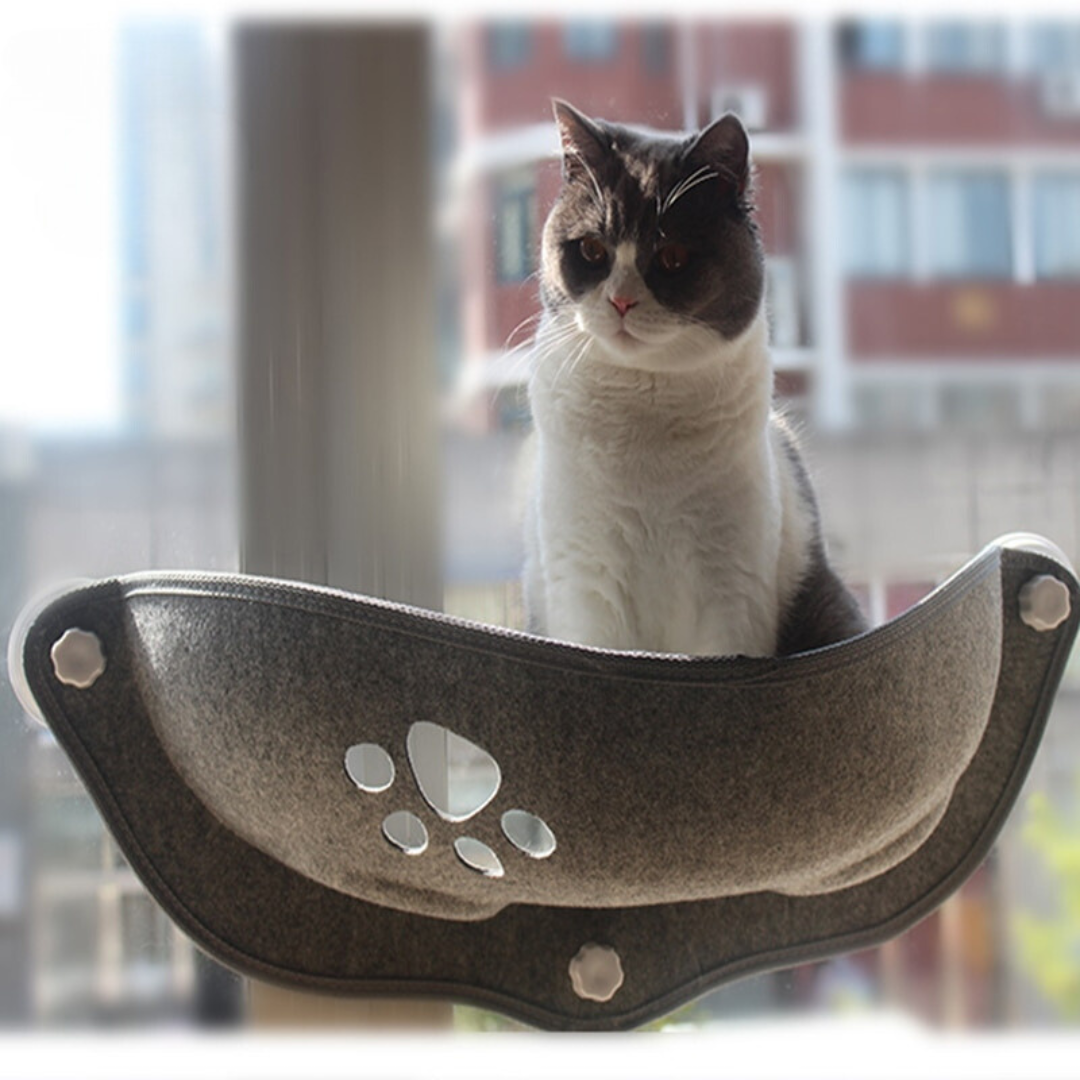 Suspended Cat Window Perch with Suction Cups – Ledgo™