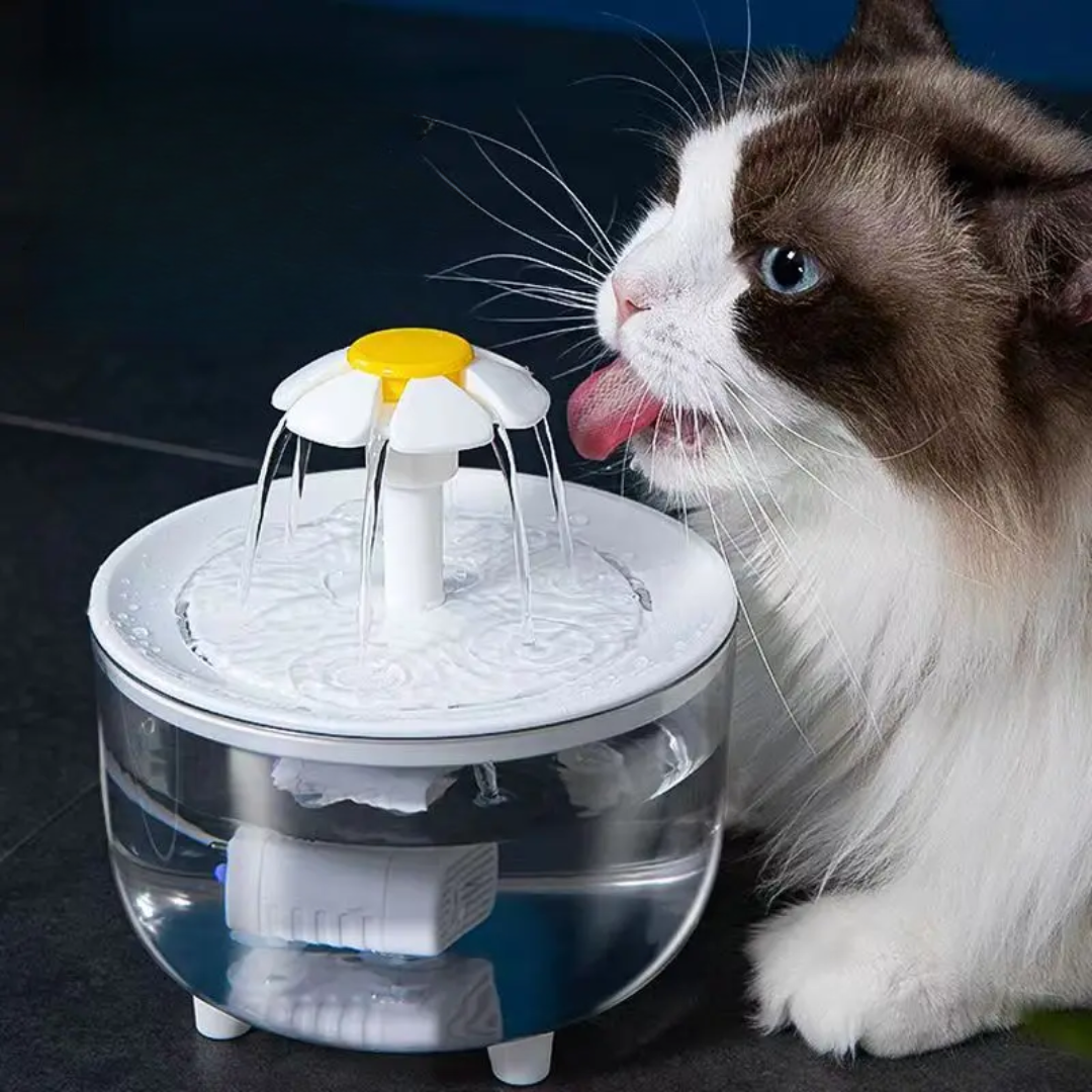 Automatic Pet Water Fountain with Filter – Ripplenest™