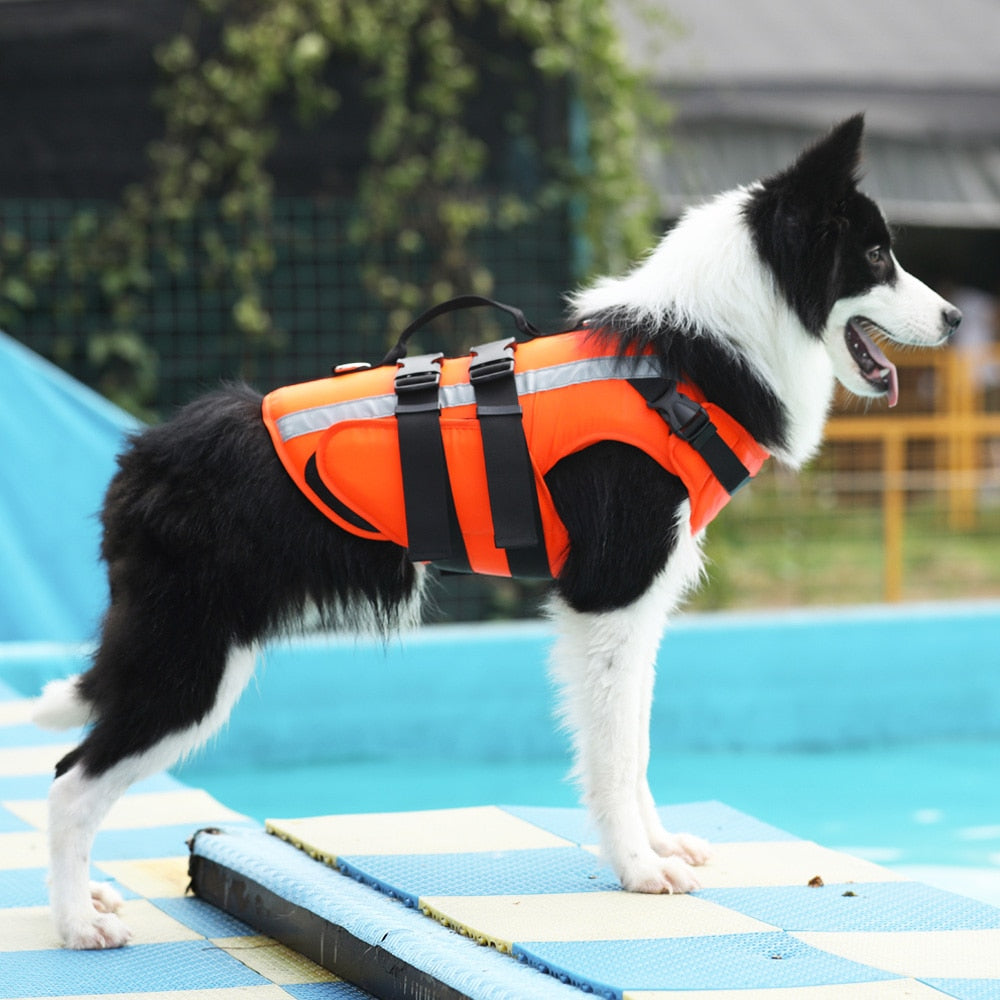 Pet Life Jacket with Reflective Strap & Quick-Release Velcro – Floatwyn™