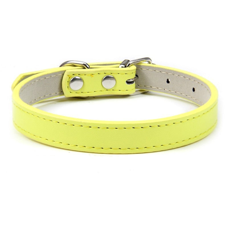 Basic Adjustable Pet Collar, Multiple Colors & Sizes – Daxwell™