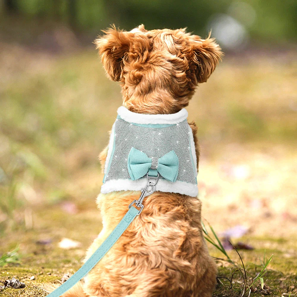 Cotton Pet Collar & Leash Set – Soft Everyday Walk Essentials – Loopwell™