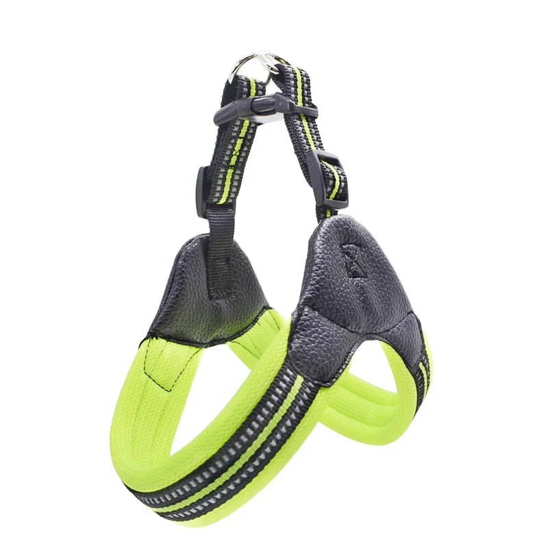 Padded Leather Chest Harness & Leash Set with Reflective Strip – Loxby™