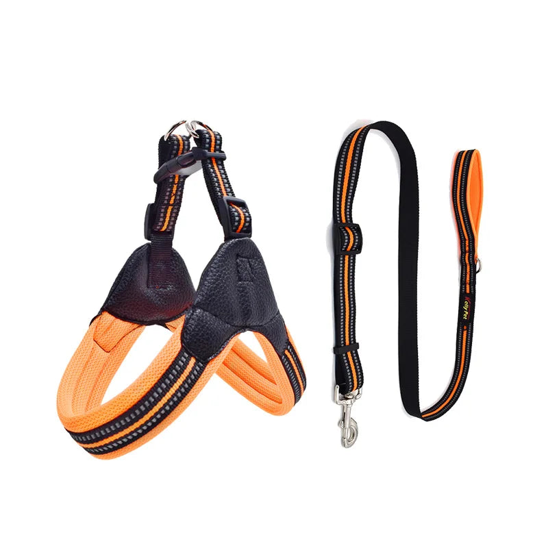 Padded Leather Chest Harness & Leash Set with Reflective Strip – Loxby™