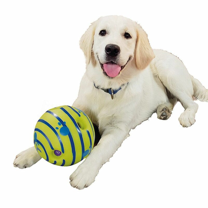 Interactive Giggle Sound Ball Dog Toy with Easy-Grip Design – Gigglo™