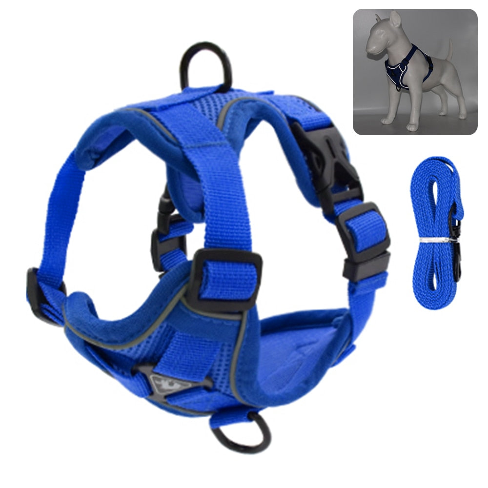 Reflective Collar and Leash Set for Dogs and Cats – ClipWalk™