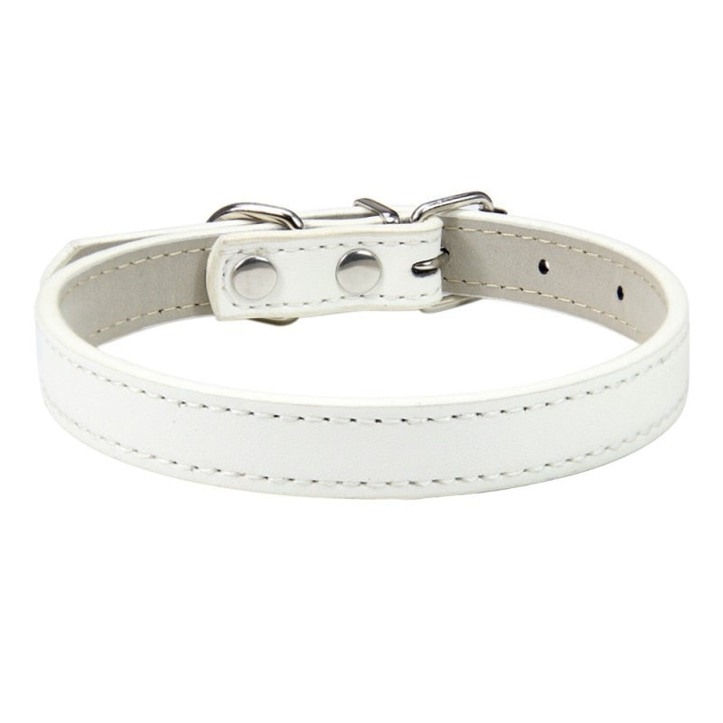 Basic Adjustable Pet Collar, Multiple Colors & Sizes – Daxwell™