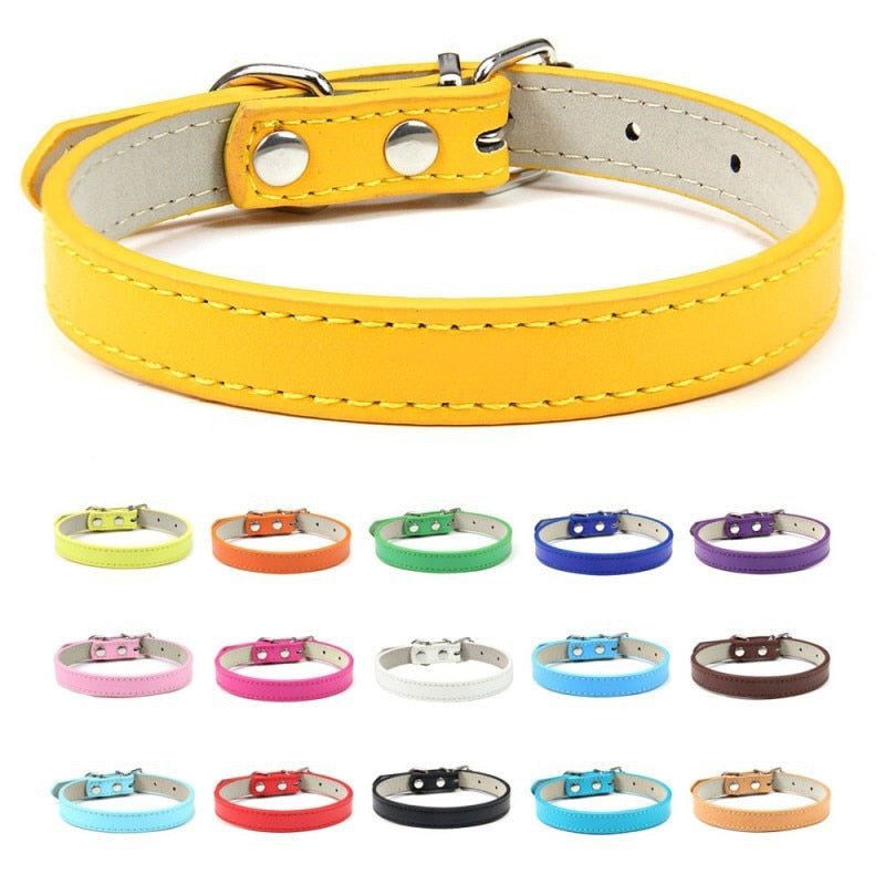 Basic Adjustable Pet Collar, Multiple Colors & Sizes – Daxwell™