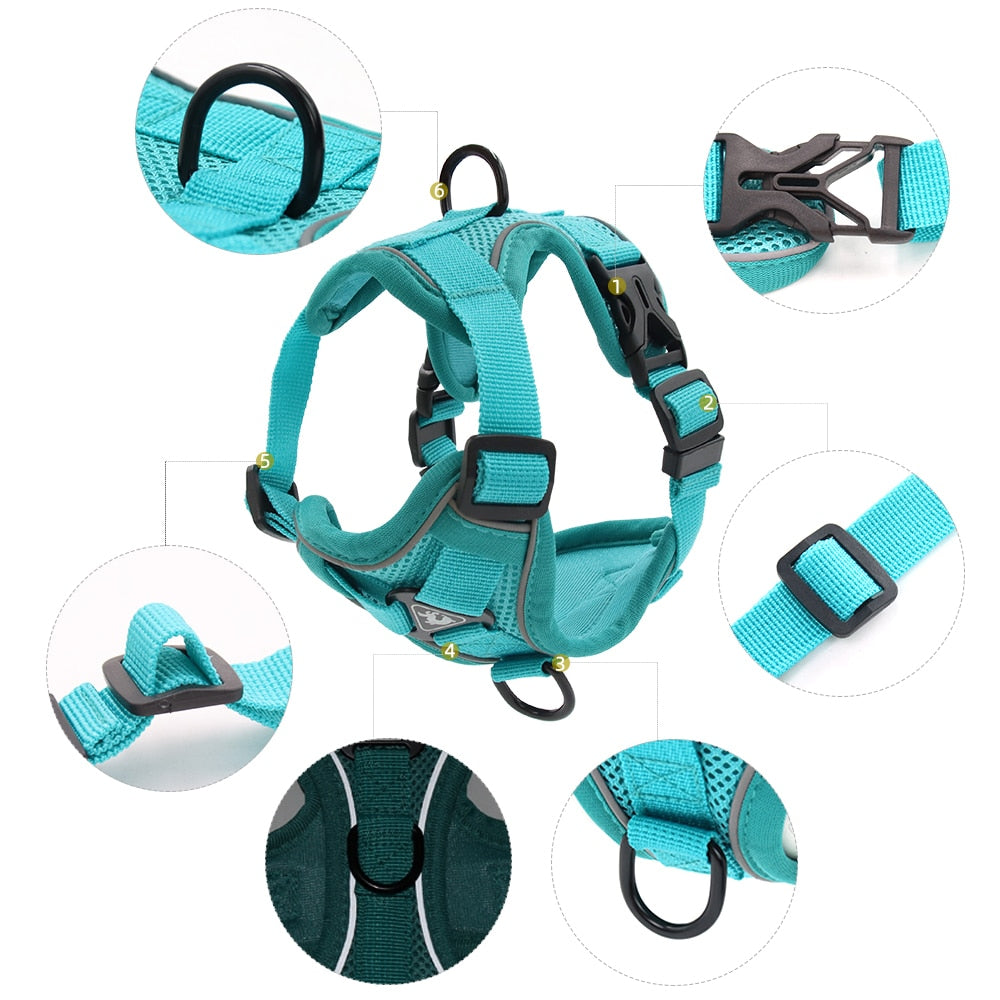 Reflective Collar and Leash Set for Dogs and Cats – ClipWalk™
