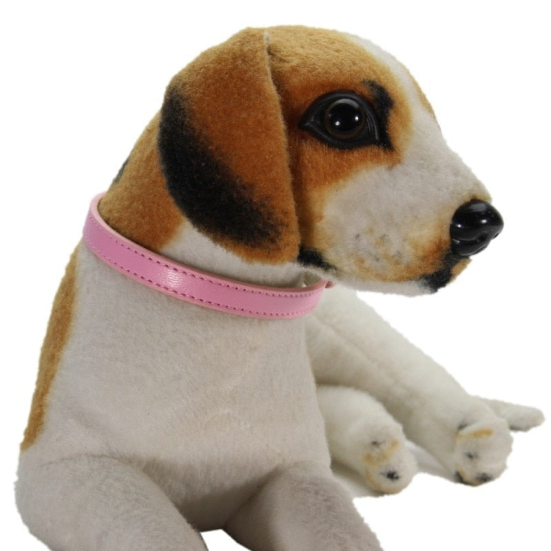 Basic Adjustable Pet Collar, Multiple Colors & Sizes – Daxwell™