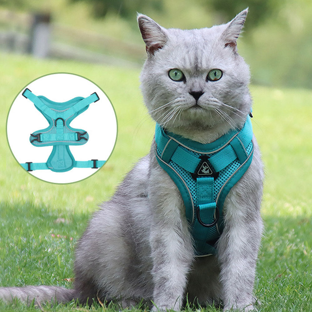 Reflective Collar and Leash Set for Dogs and Cats – ClipWalk™