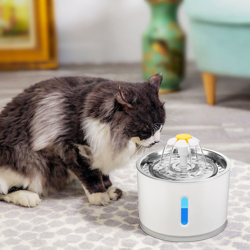 Automatic Pet Water Fountain with Carbon Filter & LED – Fontira™
