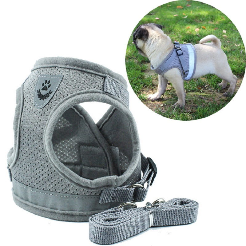 Adjustable Vest Harness & Leash Set for Dogs & Cats – Harnexo™