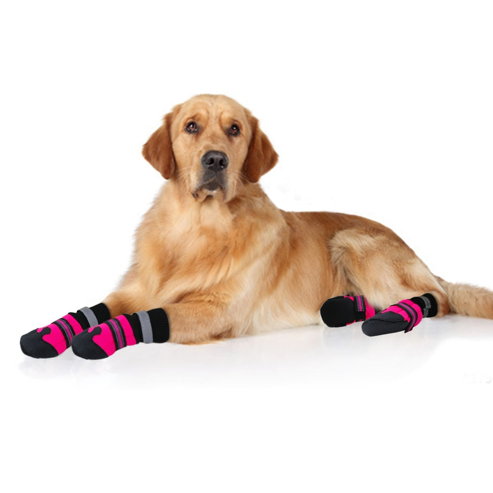Anti-Slip Waterproof Dog Socks with Reflective Trim – Grippaw™