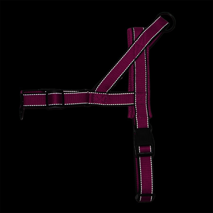Front-Clip No-Pull Dog Harness with Reflective Trim – Nyxo™