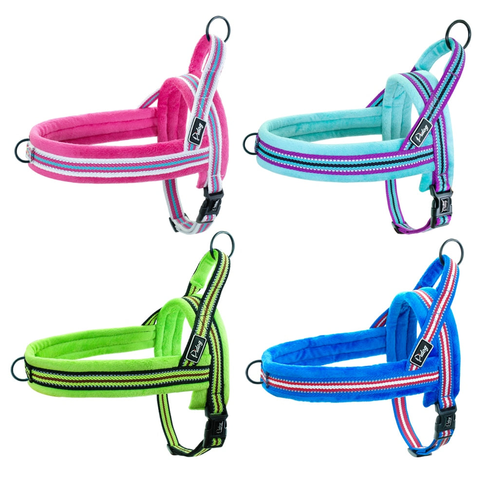 Basic Pet Collar in Light Blue, Dark Blue, Pink & Green – Duro™