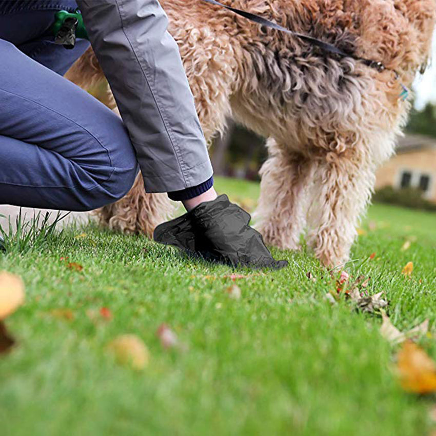 Biodegradable Dog Poop Bags with Dispenser, 16 Rolls – Scoopwell™