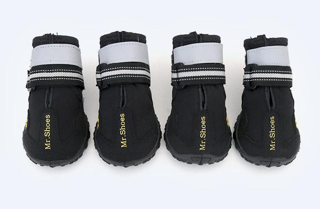 Pet Shoes in 8 Sizes for Dogs & Cats – PawTrek™