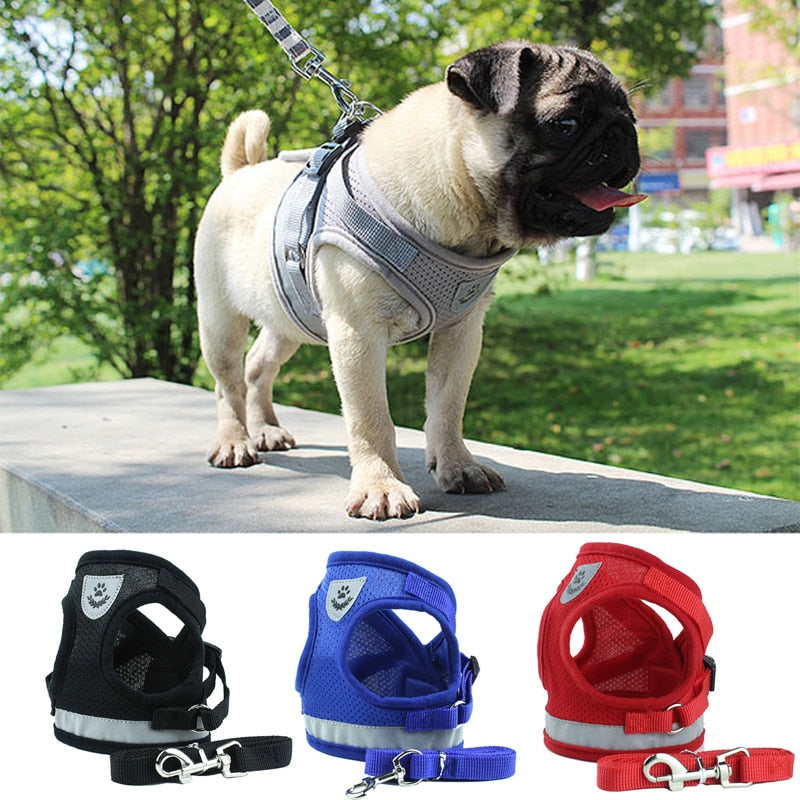 Adjustable Vest Harness & Leash Set for Dogs & Cats – Harnexo™