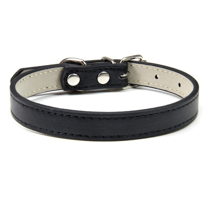 Basic Adjustable Pet Collar, Multiple Colors & Sizes – Daxwell™