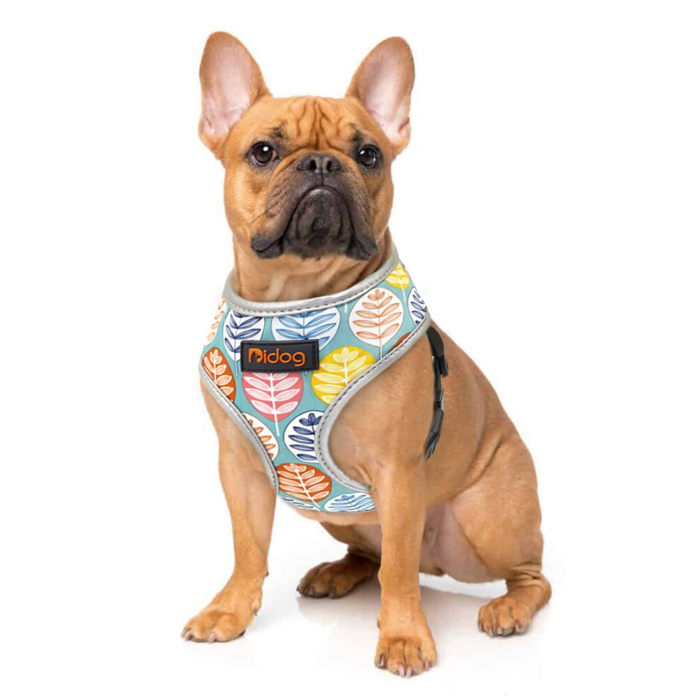 Reflective Adjustable Vest Harness for Small & Medium Pets – Havlyn™