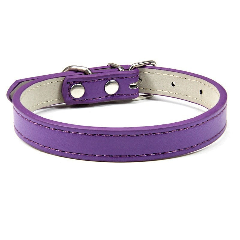 Basic Adjustable Pet Collar, Multiple Colors & Sizes – Daxwell™