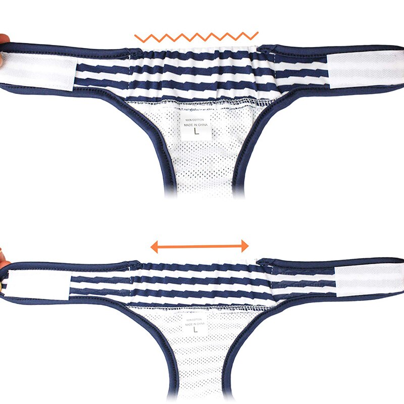 Striped Washable Dog Diaper for Urinary Incontinence – Quilby™