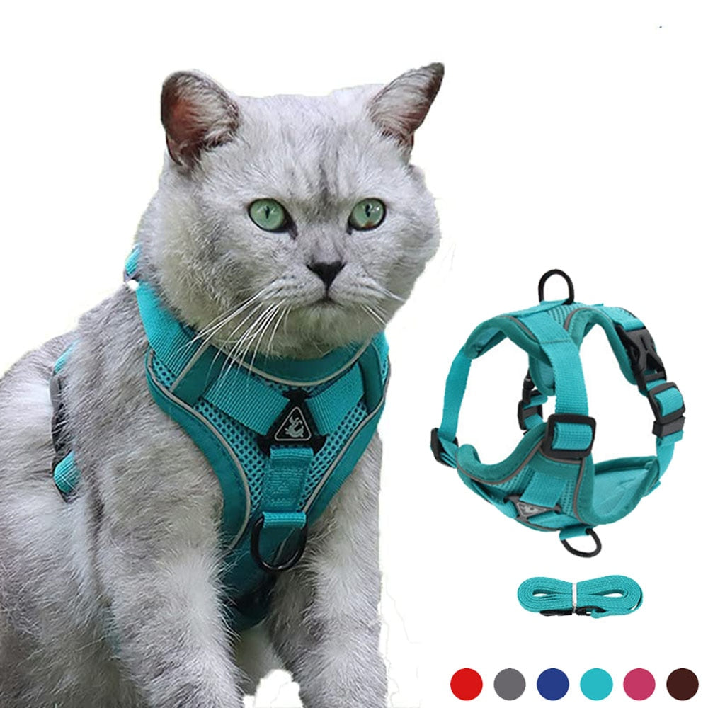 Reflective Collar and Leash Set for Dogs and Cats – ClipWalk™