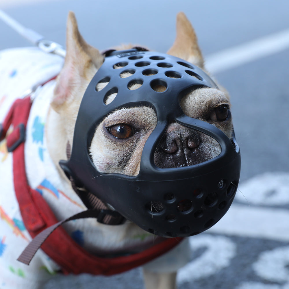 Breathable Anti-Bite Pet Muzzle – MuzzleSafe™