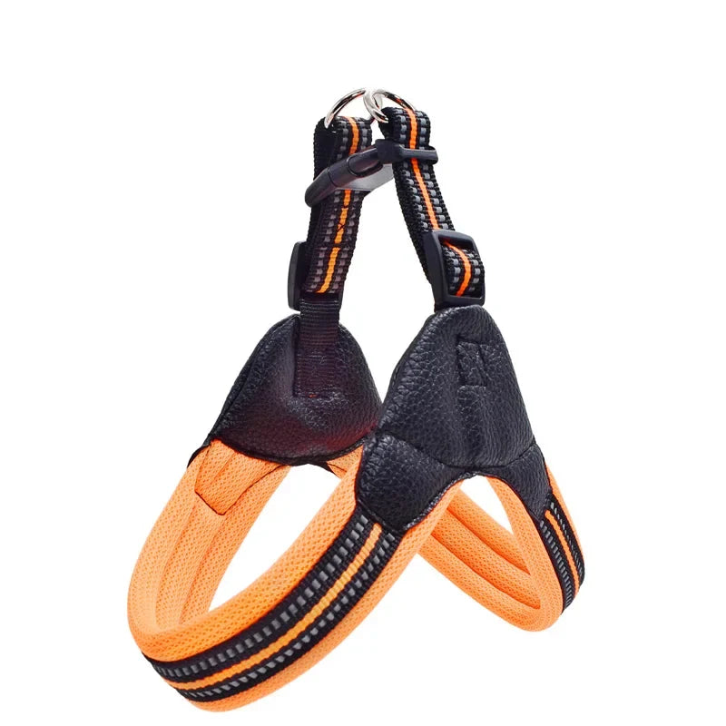 Padded Leather Chest Harness & Leash Set with Reflective Strip – Loxby™