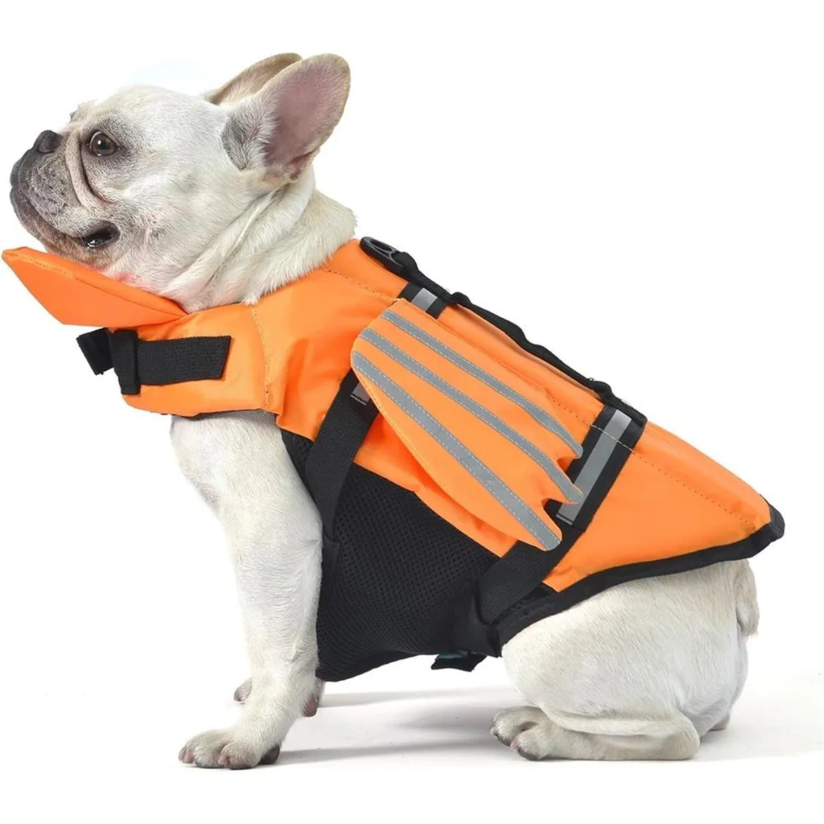 Dog Life Jacket with Head Support & Reflective Trim – Tidelo™