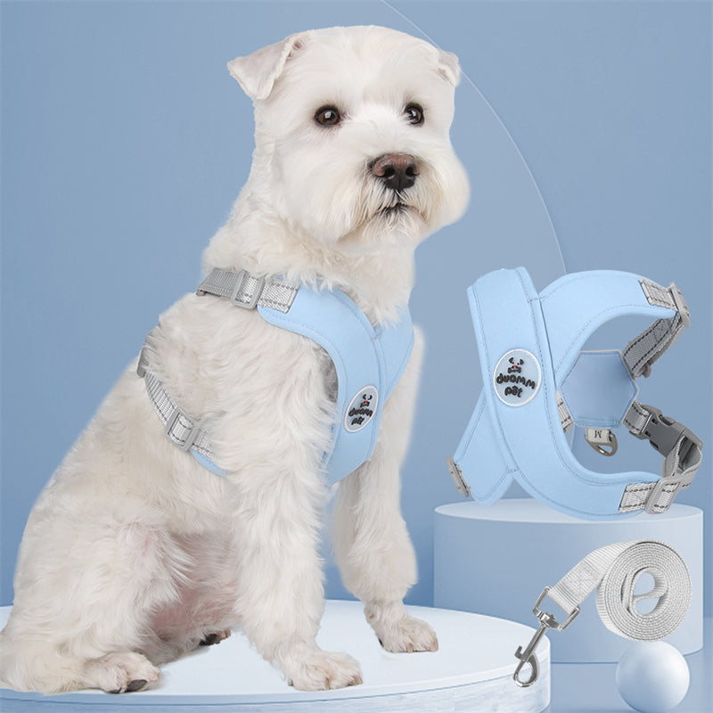 Adjustable Polyester Collar and Leash Set for Dogs and Cats – Zynn™