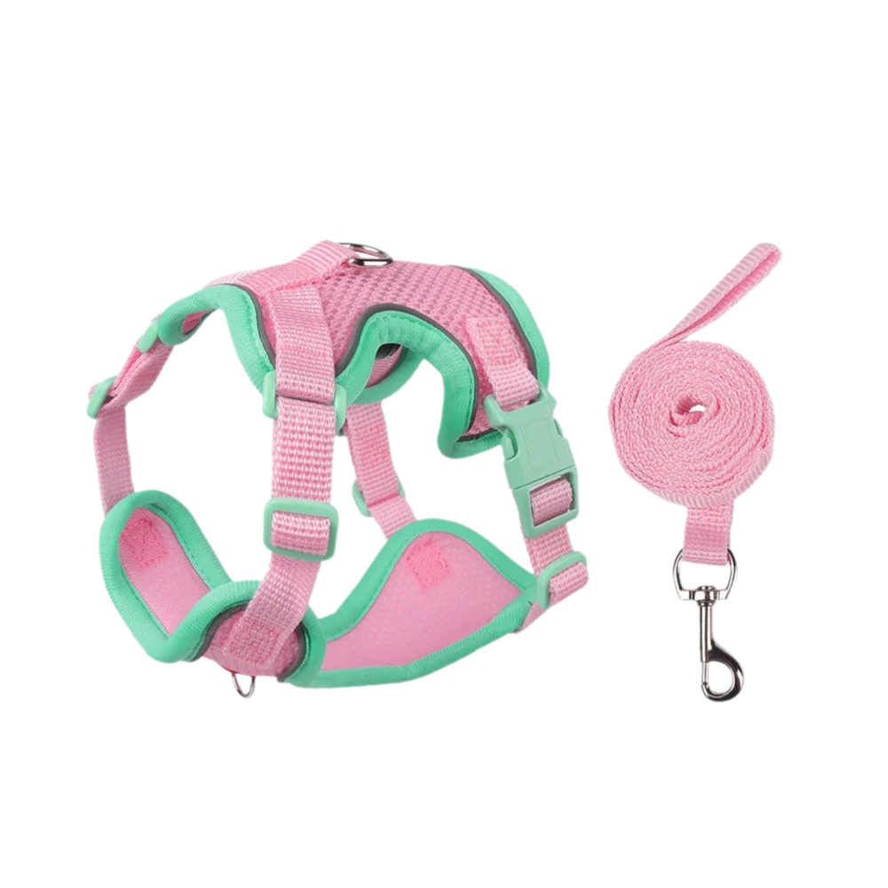 Reflective Nylon Dog Collar & Leash Set for Small to Large Dogs – Duskra™