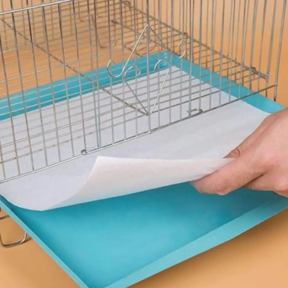 Disposable Pet Potty Pads – Ultra Absorbent, 50-Count – Driply™