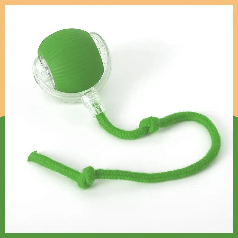 Motion-Sensor Automatic Rolling Ball Cat Toy – Rollio™