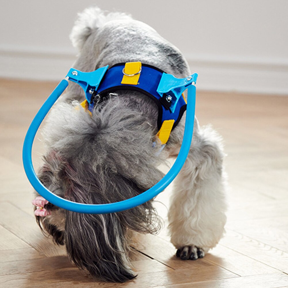 Anti-Collision Collar for Blind Pets – SightGuard™