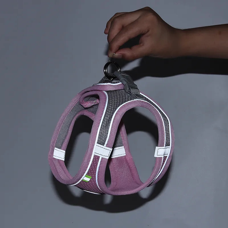 Reflective Collar & Leash Set for Dogs & Cats – Kinlo™